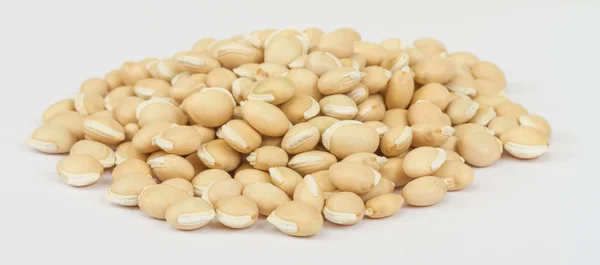 Azuki beans — Stock Photo, Image