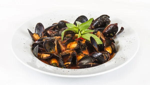 stock image Close up on mussels on white background