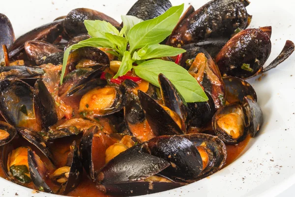 stock image Close up on mussels on white background