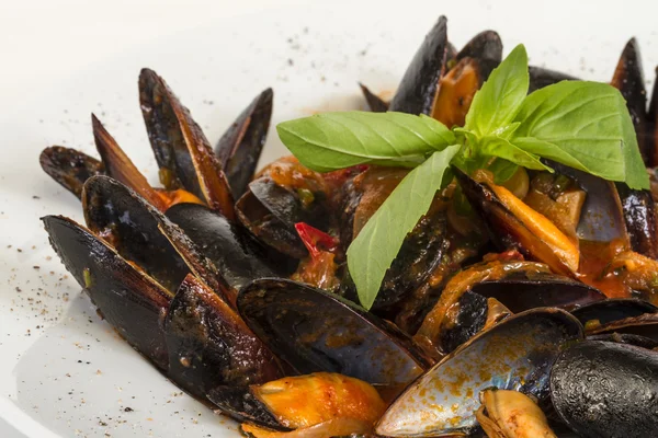 stock image Close up on mussels on white background