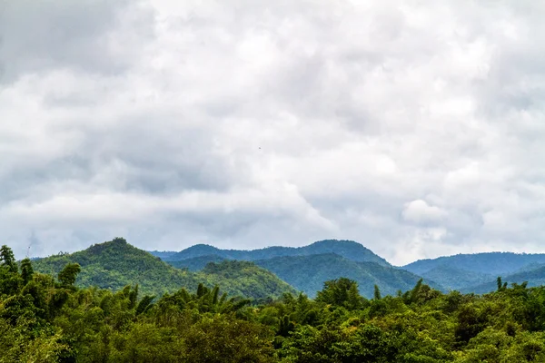 Hermosa selva tropical — Foto de Stock