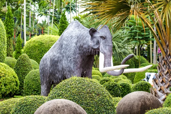 Thai style blumengarten — Stockfoto