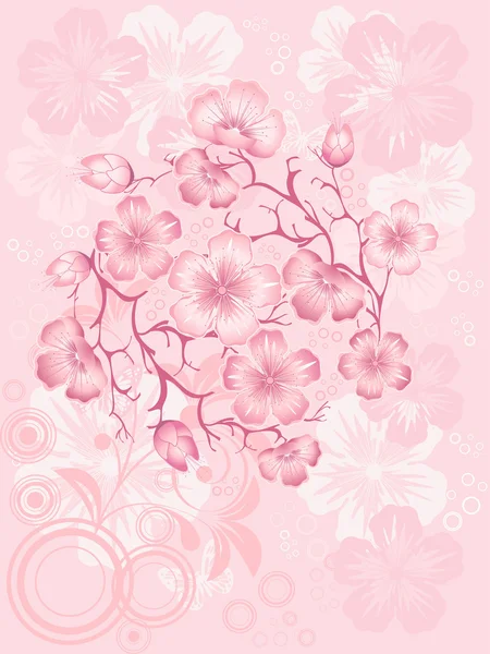 Цветок сакуры, векторная иллюстрация — стоковый вектор