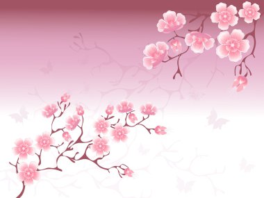 Cherry Blossoms Background clipart