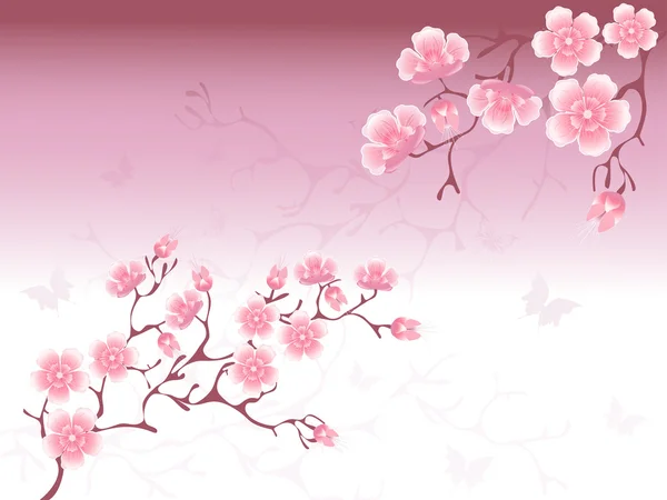 Fondo de flores de cerezo — Archivo Imágenes Vectoriales