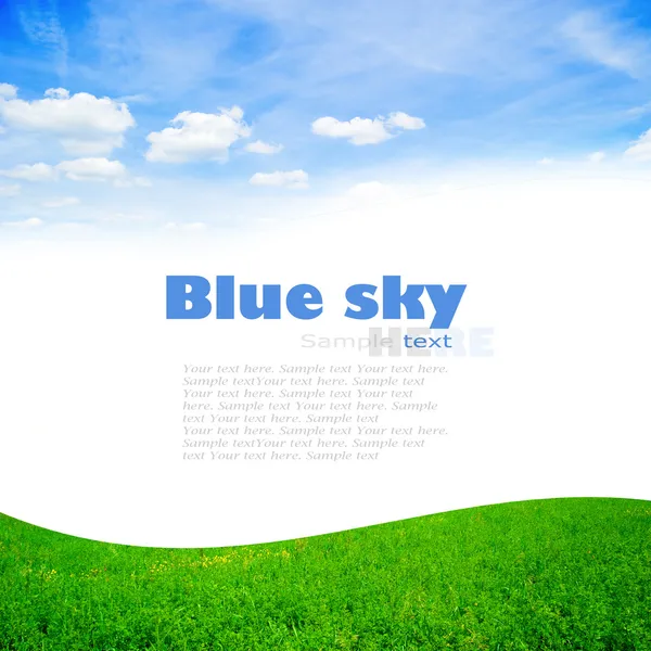 Hierba verde con cielo azul — Foto de Stock