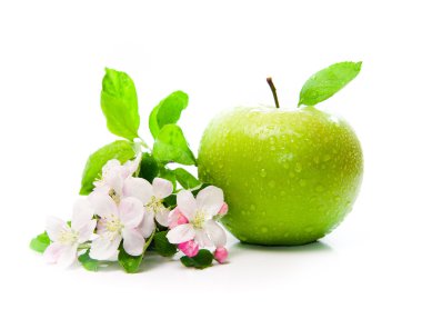 Green apple with spring flowers