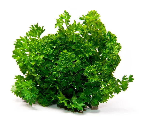 Fresh leaf of parsley — Stock Photo, Image