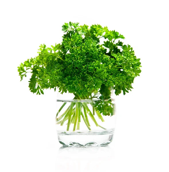 Fresh leaf of parsley — Stock Photo, Image