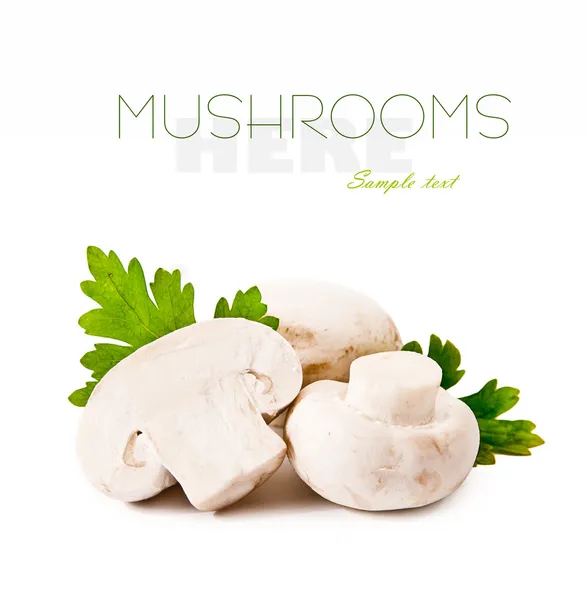 Cogumelos crus — Fotografia de Stock