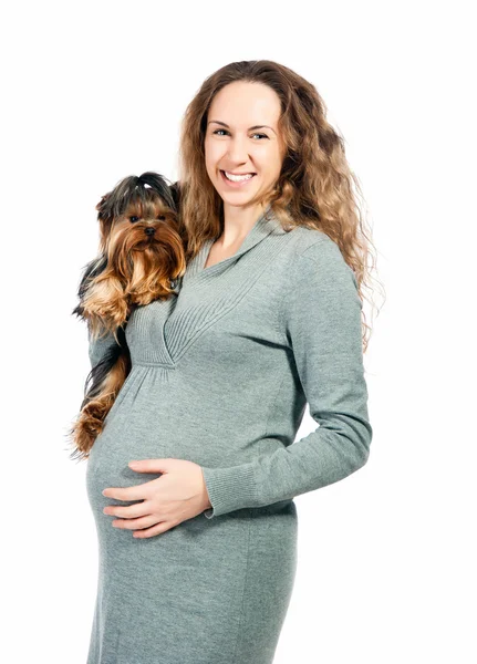 Беременная женщина с собакой — стоковое фото