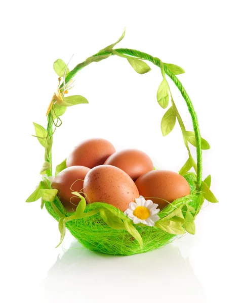Packing of eggs — Stock Photo, Image
