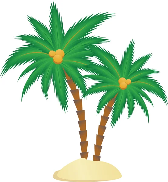 绿色棕榈 — 图库矢量图片