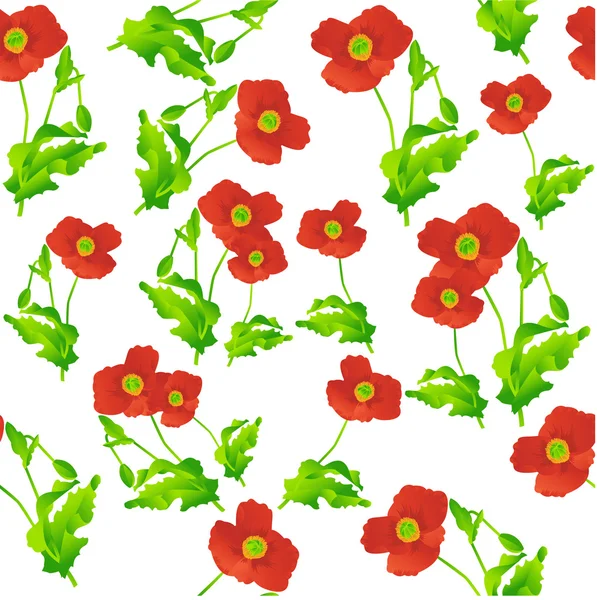 Poppies pattern — Stock Vector