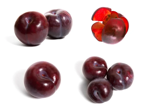 stock image Plums on white