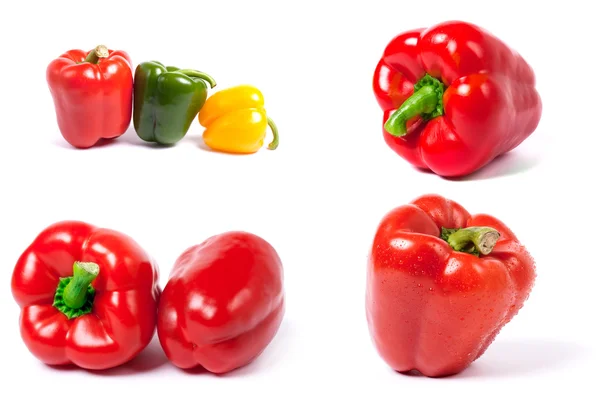 stock image Pepper