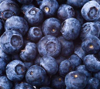 Many blueberries clipart