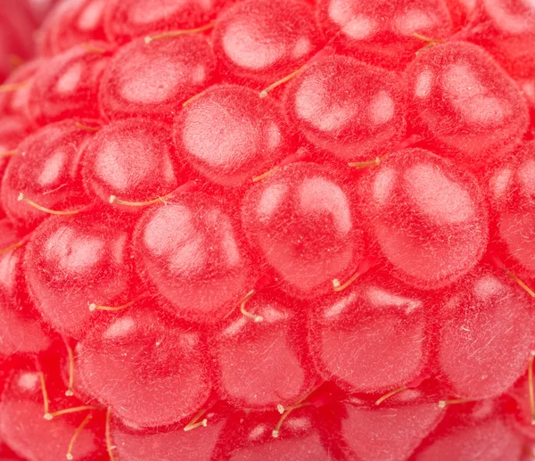 Raspberry. food background — Stock Photo, Image