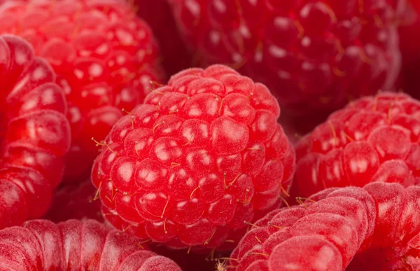 Raspberry. food background — Stock Photo, Image