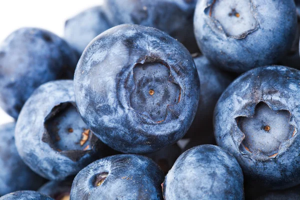Many blueberries — Stock Photo, Image