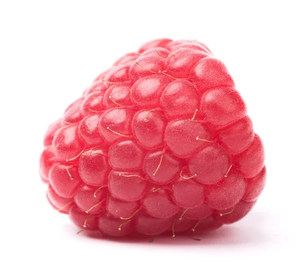 Raspberry on white — Stock Photo, Image