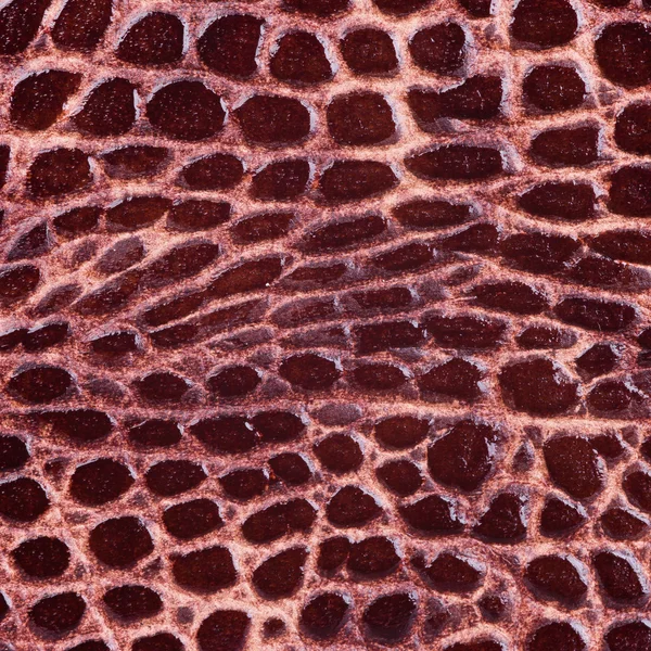 Stock image Leather texture