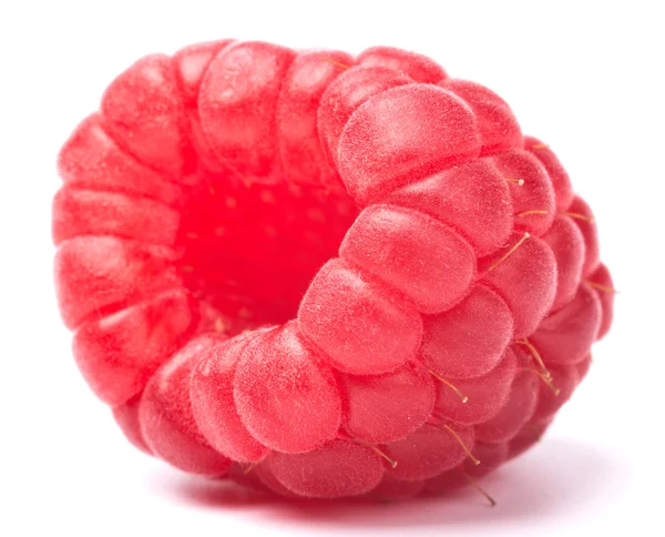 화이트 딸기 — 스톡 사진
