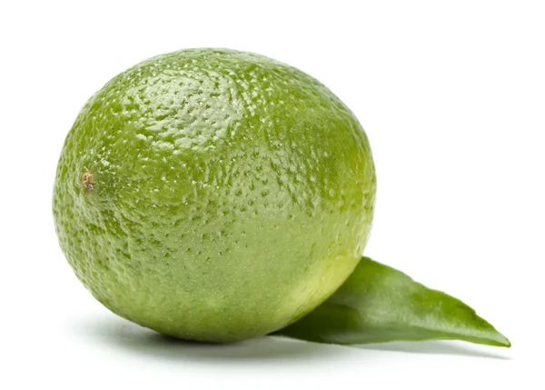 stock image Lime on white