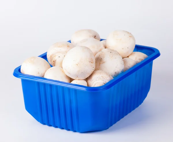 stock image Fresh champignion mushrooms