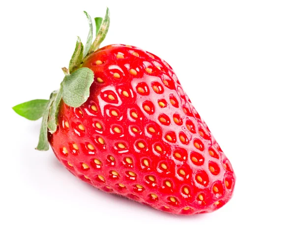 Erdbeere — Stockfoto