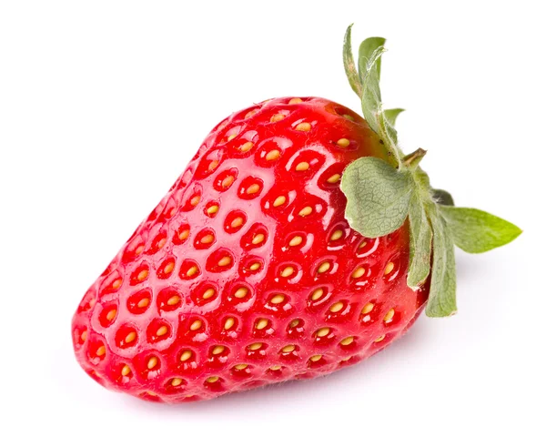 stock image Strawberry