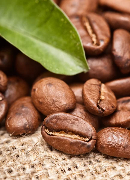 Kávová zrna — Stock fotografie
