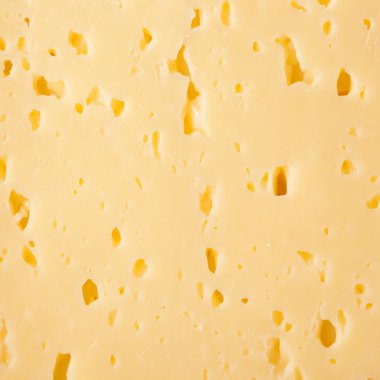 Peynir arkaplanı