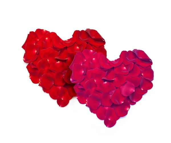 Heart shape made out of rose — Stock Photo, Image