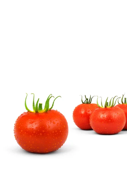Tomatos — Fotografie, imagine de stoc