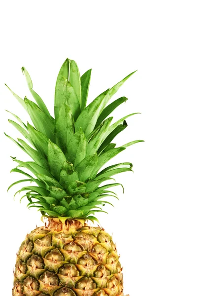 Érett ananász — Stock Fotó