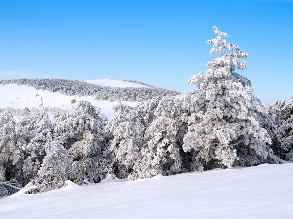 Winterliche Landschaft. — Stockfoto