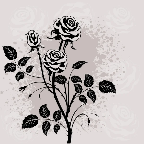 Schwarze Rose. — Stockvektor