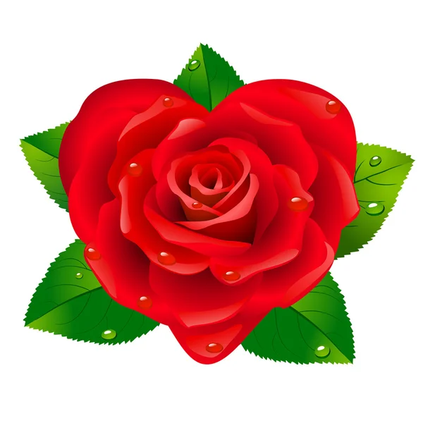作为心红玫瑰. — 图库矢量图片