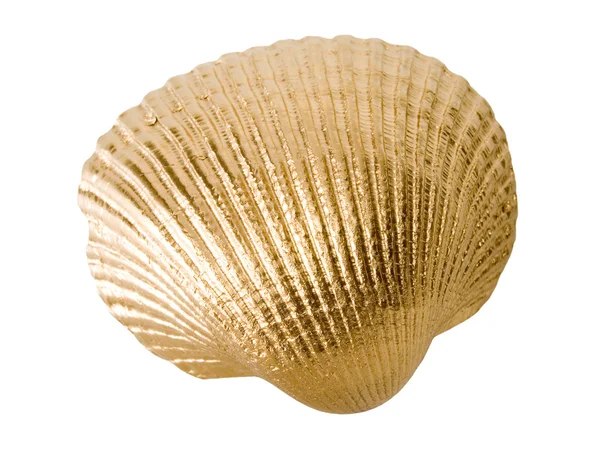 Arany shell elszigetelt fehér background. — Stock Fotó