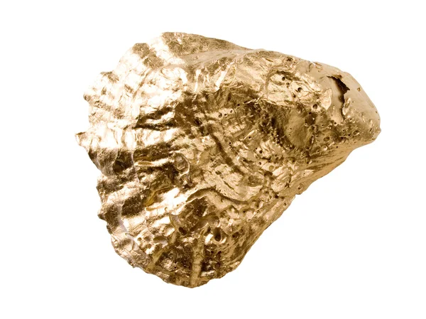 Concha de ouro isolado no fundo branco . — Fotografia de Stock