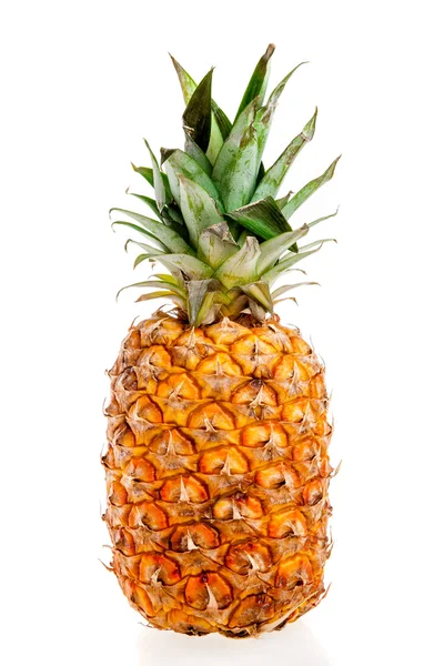 Geïsoleerde ananas — Stockfoto