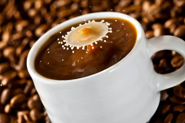 Goccia di latte che cade di caffè — Foto Stock
