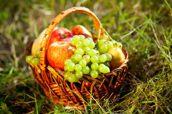 Cesta cheia de frutas — Fotografia de Stock