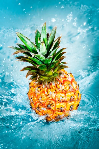 Färsk ananas — Stockfoto