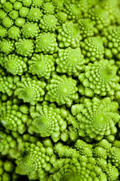 Contexto - broccolo romanesco (Brassica oleracea ) — Fotografia de Stock