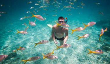 Snorkeler