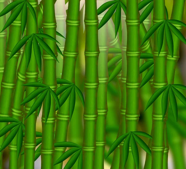 stock image The Bamboo grove