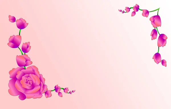 Gentile rozen — Stockfoto