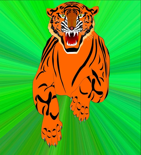 Símbolo do novo ano-tigre — Fotografia de Stock